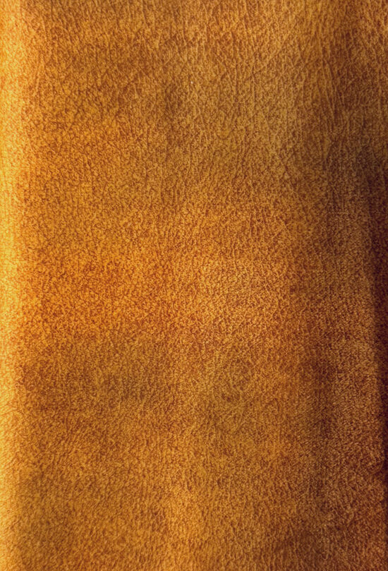 SALVADOR / AMBER 8 / 1 m